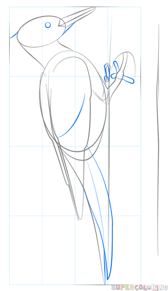 Дятел поэтапное рисование для детей