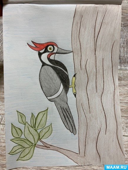 Дятел поэтапное рисование для детей