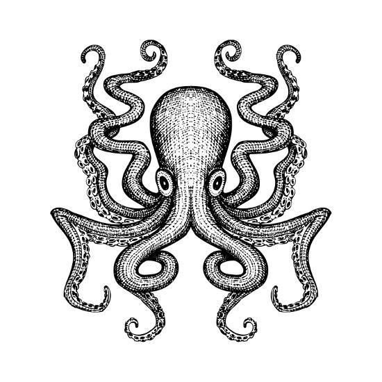 Осьминог тату симметрично
