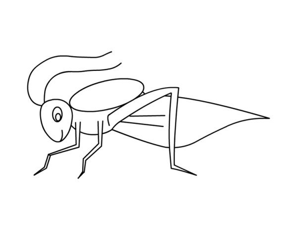 Поэтапное рисование кузнечика