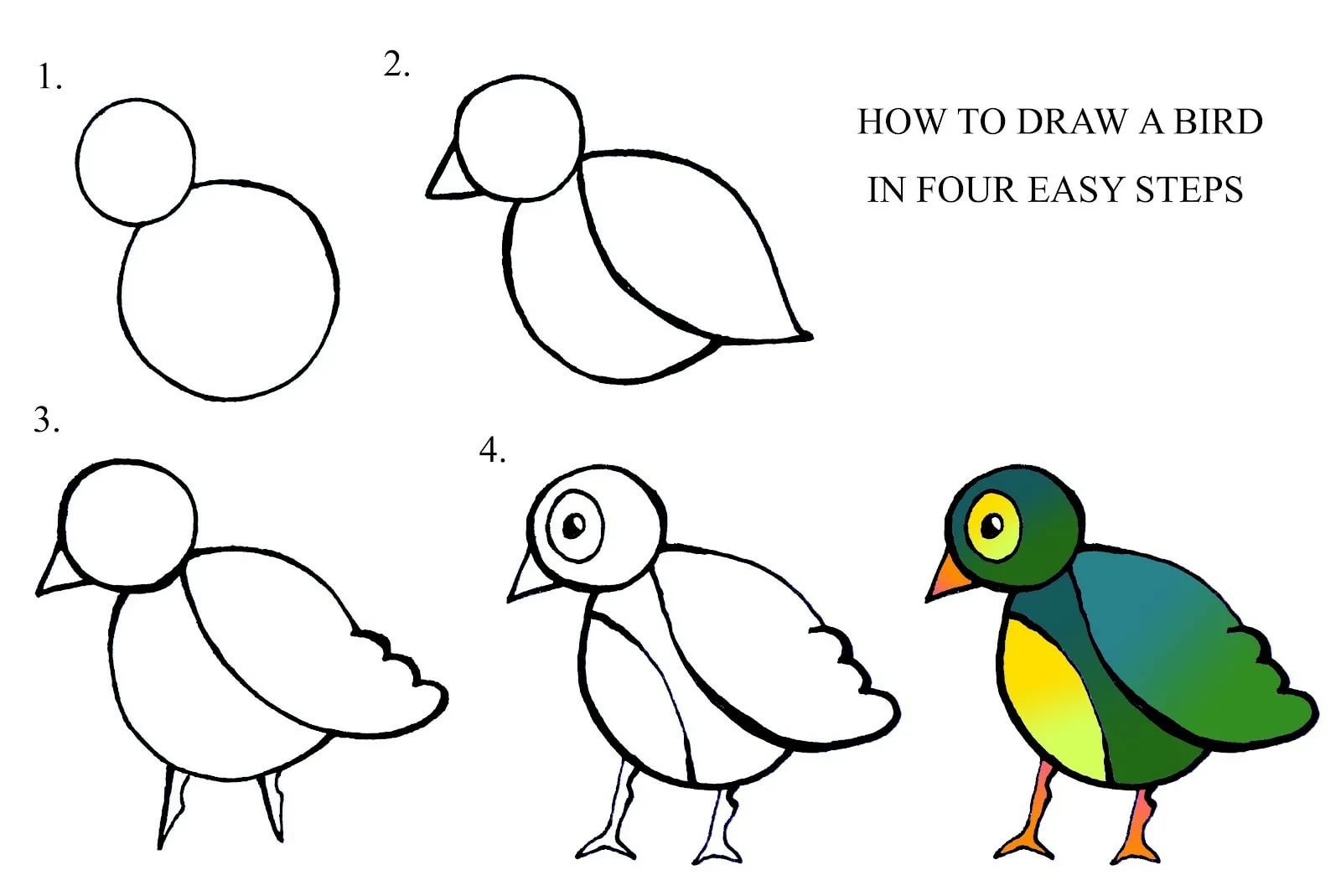 Алгоритм рисования птиц