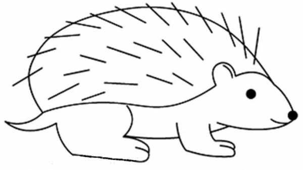 Еж рисунок для детей простой (50 фото)