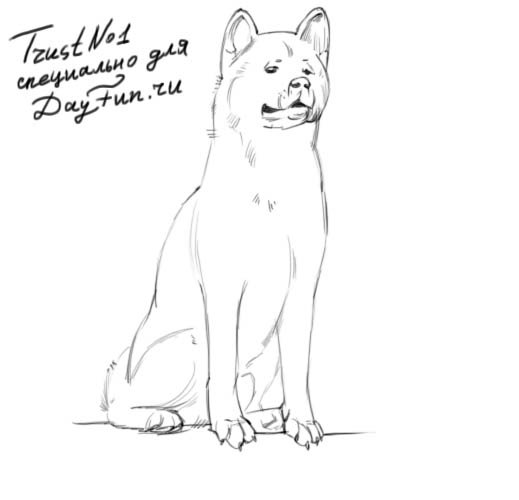 Хатико рисунок карандашом