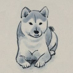 Легкие рисунки для срисовки Хатико