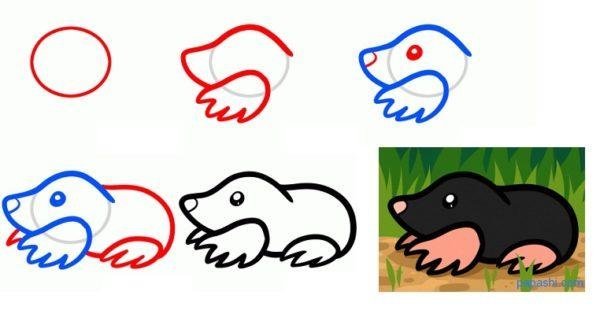 Крот раскраска