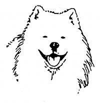 Собака самоед вектор