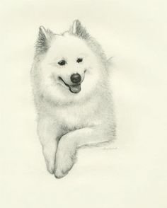 Самоед набросок