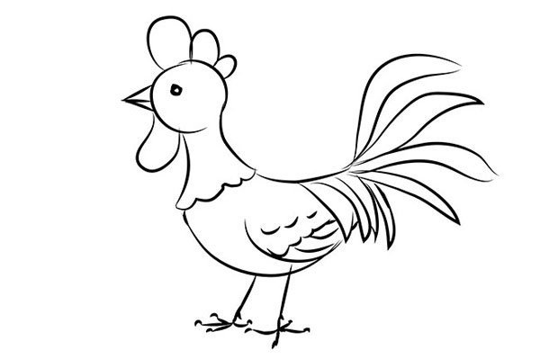 Петух рисунок для детей раскраска