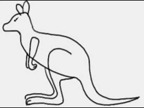 Кенгуру рисунок