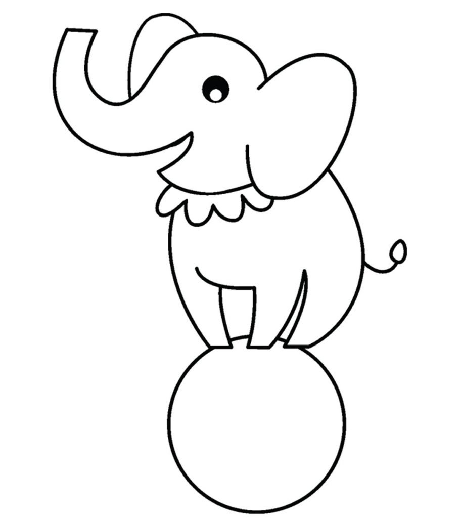Слон в цирке раскраска