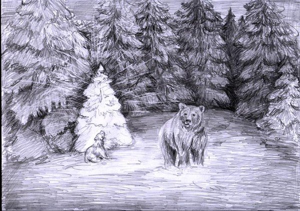 Зимний лес рисунок карандашом