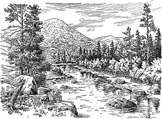 Таежные зарисовки