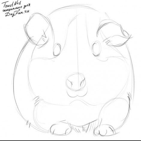 Хомячок рисунок для детей простой (47 фото)