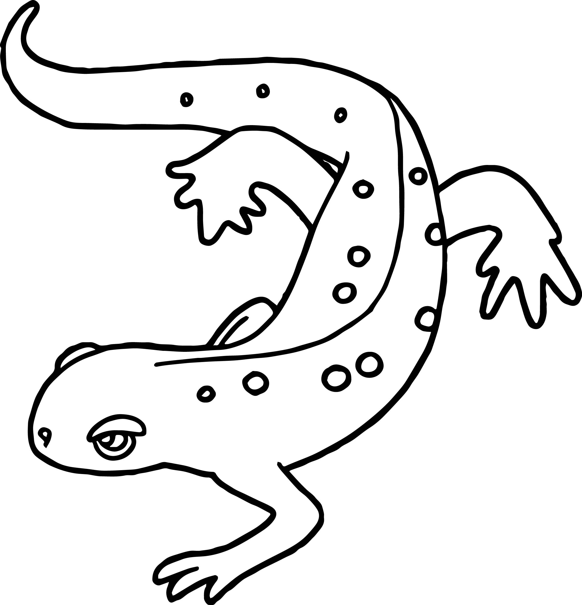 Как нарисовать ящерицу ребенку