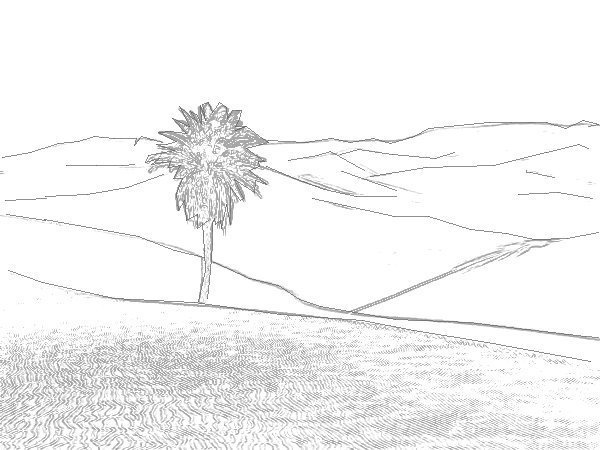 Как я представляю себе пустыню