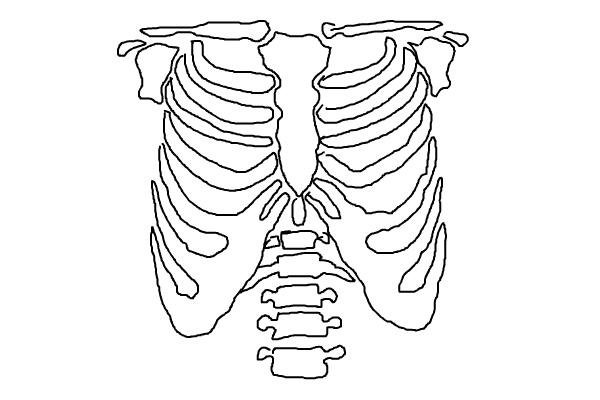 Скелет в виде сердца