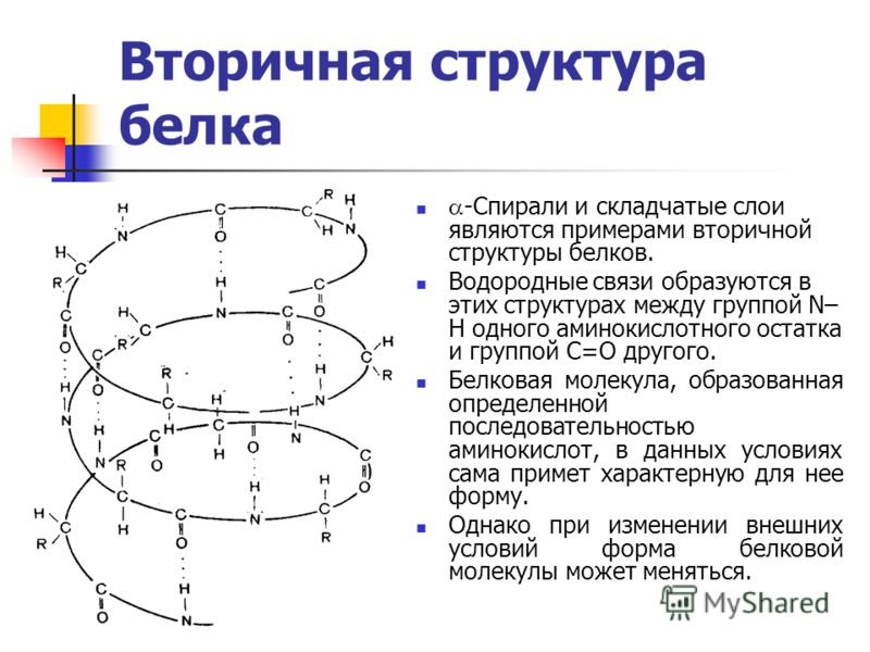 Вторичная структура какие связи