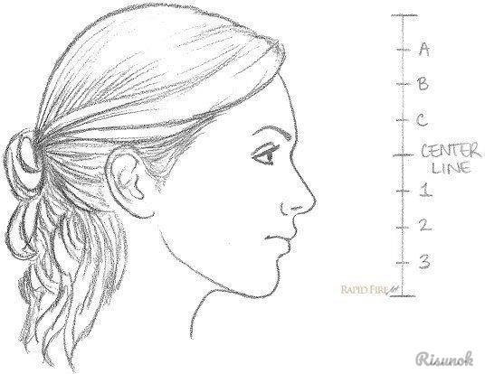 Профиль лица сбоку пропорции