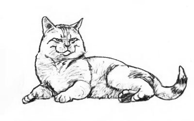 Лежачая кошка рисунок