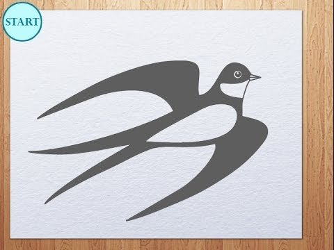 Ласточка фото птицы