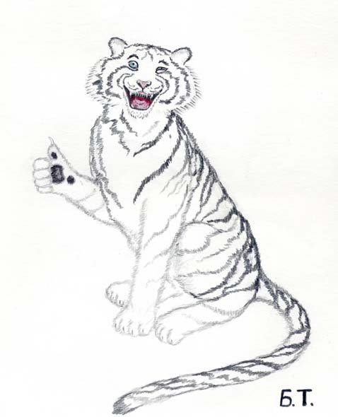Рисунки тигра легкие