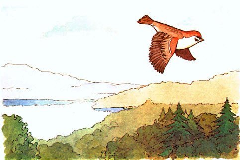 Сказка хитрая наука главные герои