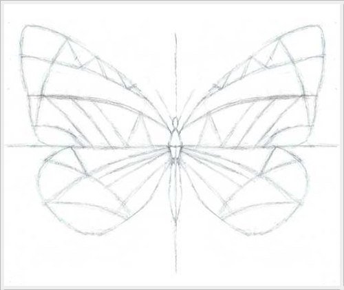 Рисование симметричных форм