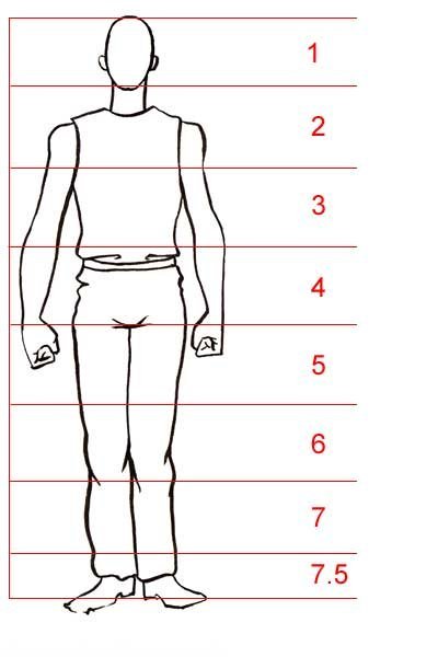 Референс анатомия пропорции