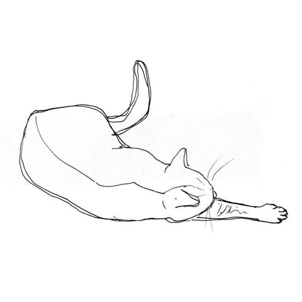 Лежачая кошка нарисовать