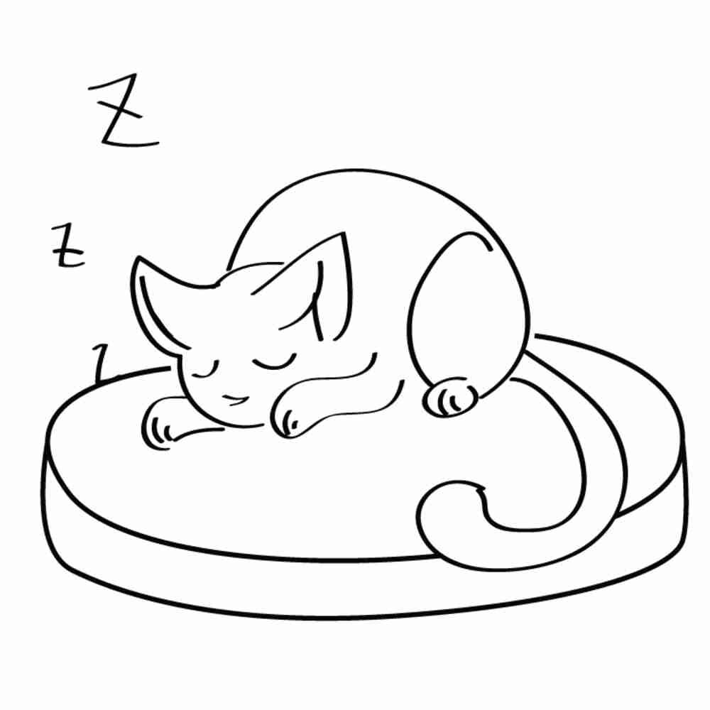 Спящий кот рисунок