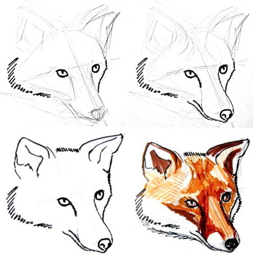 Лиса схема рисования морды