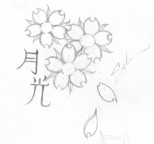 Сакура эскиз