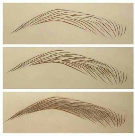 Схема волосков бровей волосковая техника