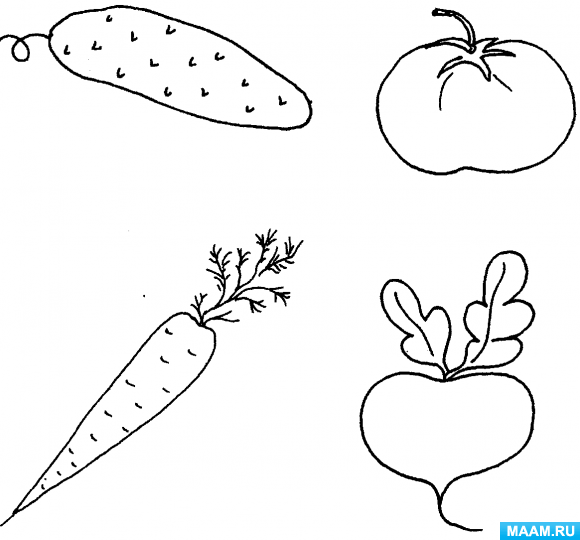 Рисование овощей и фруктов
