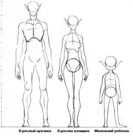 Тело подростка для рисования