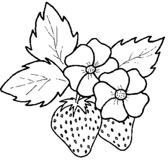 Клубника рисунок