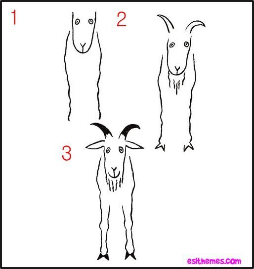 Наброски козы