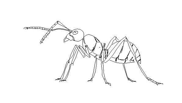 Схема рисования муравья для детей