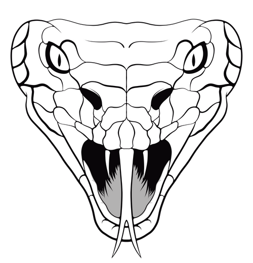 Морда змеи рисунок