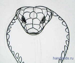 Голова змеи для срисовки