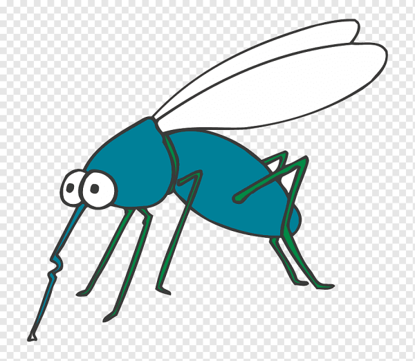 Комар раскраска для детей