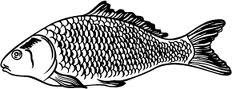 Рыба к пиву вектор