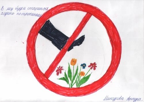 Берегите растения