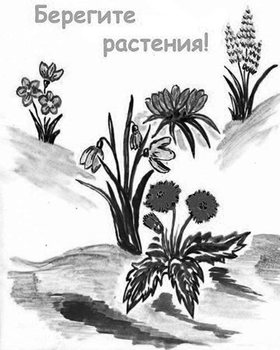 Берегите растения знаки