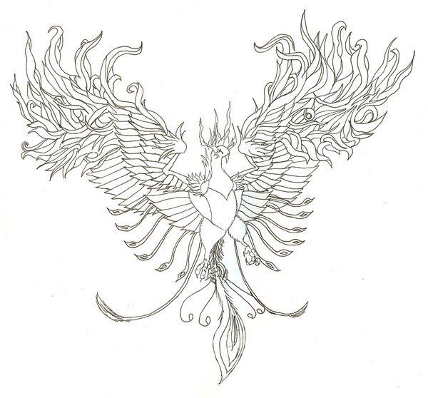 Феникс рисунок простой (47 фото)