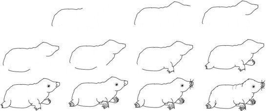 Крот рисунок простой (44 фото)