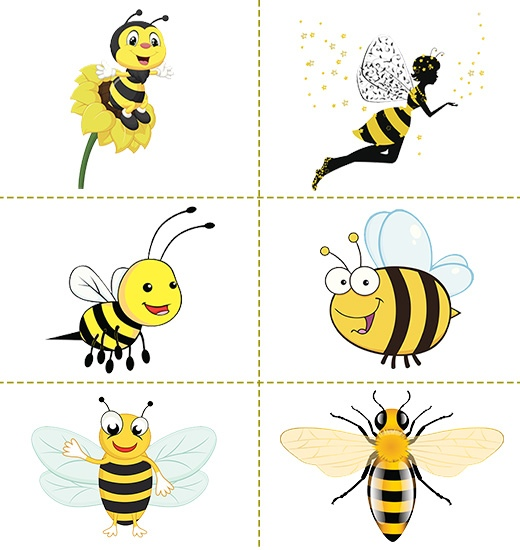 Схематичное изображение пчелы