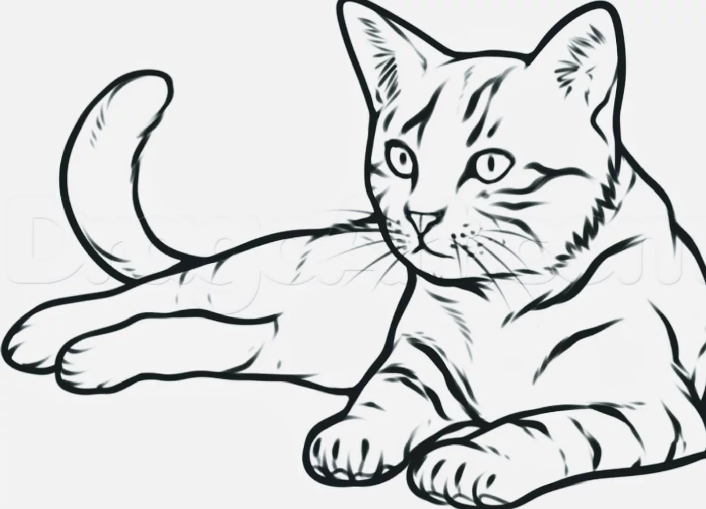 Рисунок кота для рисовки