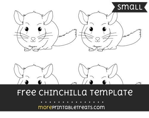 Шиншилла рисунок контур