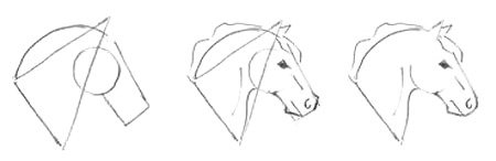 Поэтапное рисование головы лошади